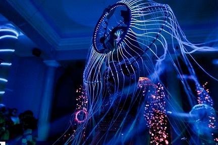 Световое шоу НОЧНЫЕ ЦВЕТЫ Световое шоу НОЧНЫЕ ЦВЕТЫ